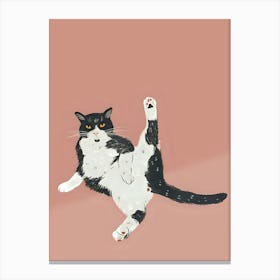 Cat Kicking Canvas Print