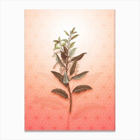 Evergreen Oak Vintage Botanical in Peach Fuzz Asanoha Star Pattern n.0338 Canvas Print