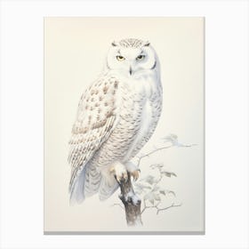 Vintage Bird Drawing Snowy Owl 2 Canvas Print