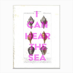 I Can Hear The Sea Vintage Sea Shell Canvas Print