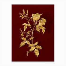 Vintage Velvet China Rose Botanical in Gold on Red n.0142 Canvas Print