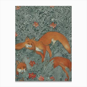 Foxes Canvas Print