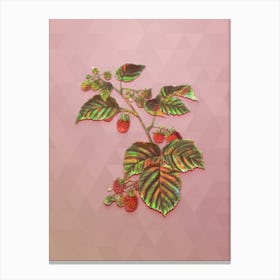 Vintage Raspberry Botanical Art on Crystal Rose n.0035 Canvas Print