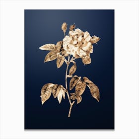 Gold Botanical French Rosebush with Variegated Flowers on Midnight Navy n.1079 Canvas Print