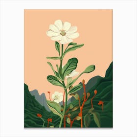 Boho Wildflower Painting White Campion 4 Canvas Print