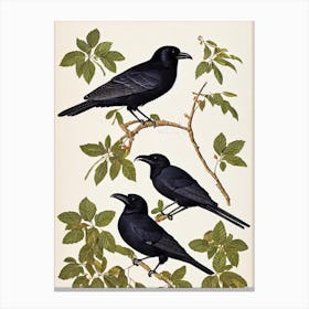 Raven 2 James Audubon Vintage Style Bird Canvas Print