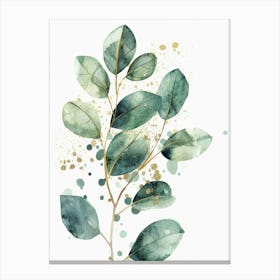 Eucalyptus Branch Canvas Print
