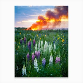 A Multitude Of Flowers Blossoming In The Center Their Petals Transitioning From Yellow To Pink To W (5) Canvas Print