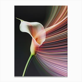 Lighthouse Calla Canvas Print