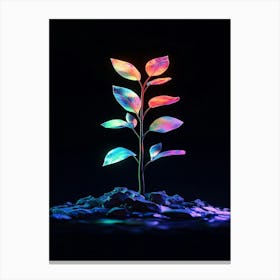 Plant In The Dark 6 Canvas Print