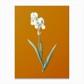 Vintage Tall Bearded Iris Botanical on Sunset Orange n.0620 Canvas Print
