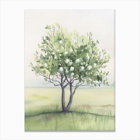 Plum Tree Atmospheric Watercolour Painting 2 Canvas Print