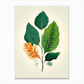 Illustration Of Leaves Canvas Print