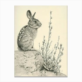 Chinchilla Rabbit Drawing 4 Canvas Print