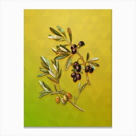 Vintage Olive Botanical Art on Empire Yellow n.1371 Canvas Print
