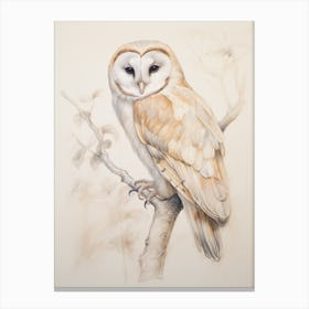 Vintage Bird Drawing Barn Owl 3 Canvas Print