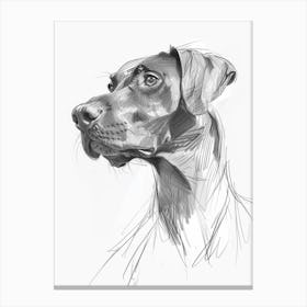 Spaniel Doberman Dog Charcoal Line 1 Canvas Print