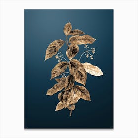 Gold Botanical Broadleaf Spindle on Dusk Blue n.0856 Canvas Print