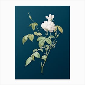Vintage White Bengal Rose Botanical Art on Teal Blue n.0711 Canvas Print