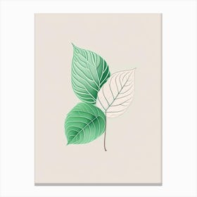 Mint Leaf Contemporary 6 Canvas Print