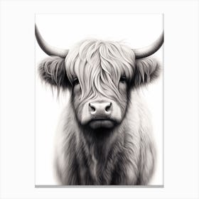 Black & White Illustration Of Young Highland Cow 2 Canvas Print