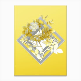 Botanical Malmedy Rose in Gray and Yellow Gradient n.428 Canvas Print