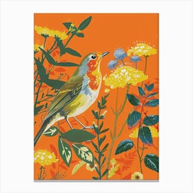 Spring Birds Robin 4 Canvas Print