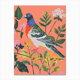 Spring Birds Pigeon 6 Canvas Print
