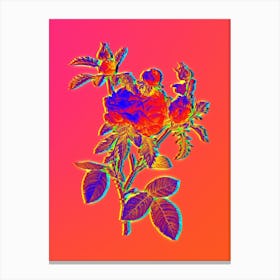 Neon Cabbage Rose Botanical in Hot Pink and Electric Blue n.0303 Canvas Print