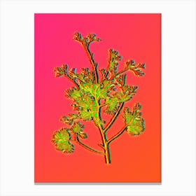 Neon Atlantic White Cypress Botanical in Hot Pink and Electric Blue n.0411 Canvas Print