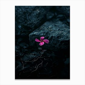 Flower In The Dark 47 Canvas Print