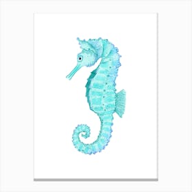 Seahorse 3 Canvas Print