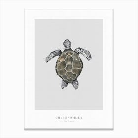 Boho Ocean 2 Sea Turtle Canvas Print