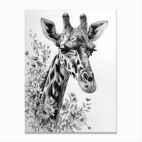Giraffe With Their Head In The Flowers 1 Canvas Print