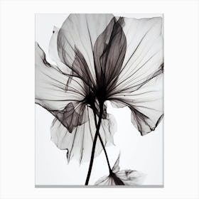 Black And White Flower Silhouette 2 Canvas Print