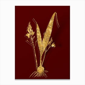 Vintage Pine Pink Botanical in Gold on Red n.0008 Canvas Print