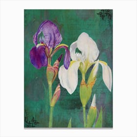 Two Irises Canvas Print