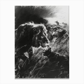 African Lion Charcoal Drawing Interaction With Other Wildlife 1 Canvas Print