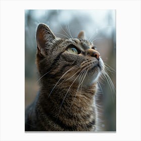 Long Distance Commercial Photography Of Short Hair Cat, Different Angles And Actions, Bright Room , Minimalist Backdrop, Camera, Soft Light, Scene Graph, Home Simple Scenes, Modern Simplicity, Indoor Lighting, Real Photos Canvas Print