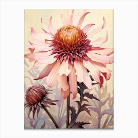 Floral Illustration Gaillardia 2 Canvas Print