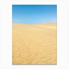 Shifting Sands 1 Canvas Print
