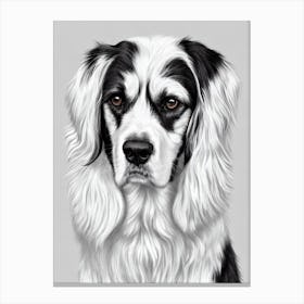 English Setter B&W Pencil dog Canvas Print