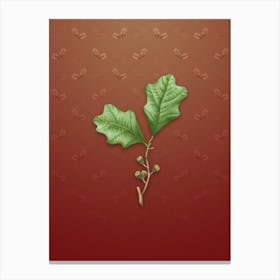 Vintage Bear Oak Leaves Botanical on Falu Red Pattern n.2136 Canvas Print