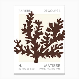 H Matisse 59 Canvas Print