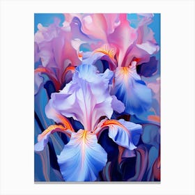 Iris In Blue And Pink Canvas Print
