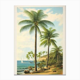 Shelly Beach Australia Vintage Canvas Print