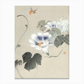 Insects Near Bindweed (1900 1930), Ohara Koson Canvas Print