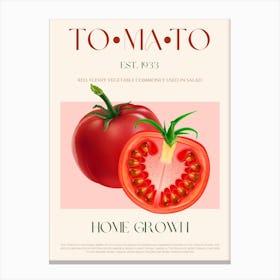 Tomato Mid Century Canvas Print