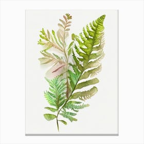 Royal Fern Wildflower Watercolour 1 Canvas Print