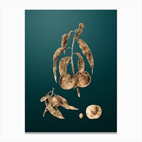 Gold Botanical Walnut Peach on Dark Teal Canvas Print